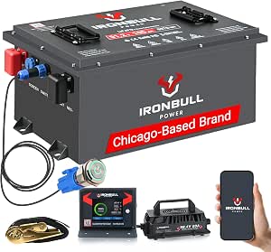 48V 105Ah Lithium Golf Cart Battery Conversion Kit with 5376Wh Capacity and 200A BMS