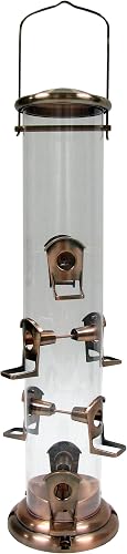 best bird feeders in Providence, RI best bird feeders in Providence, RI