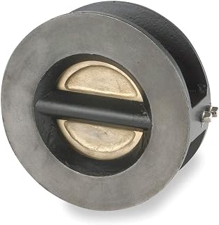 SSI Technologies - 0500-125WTIBB-T - SSI Double Disc Check Valve: Single Flow, Inline Double Disc, Cast Iron, 5 in
