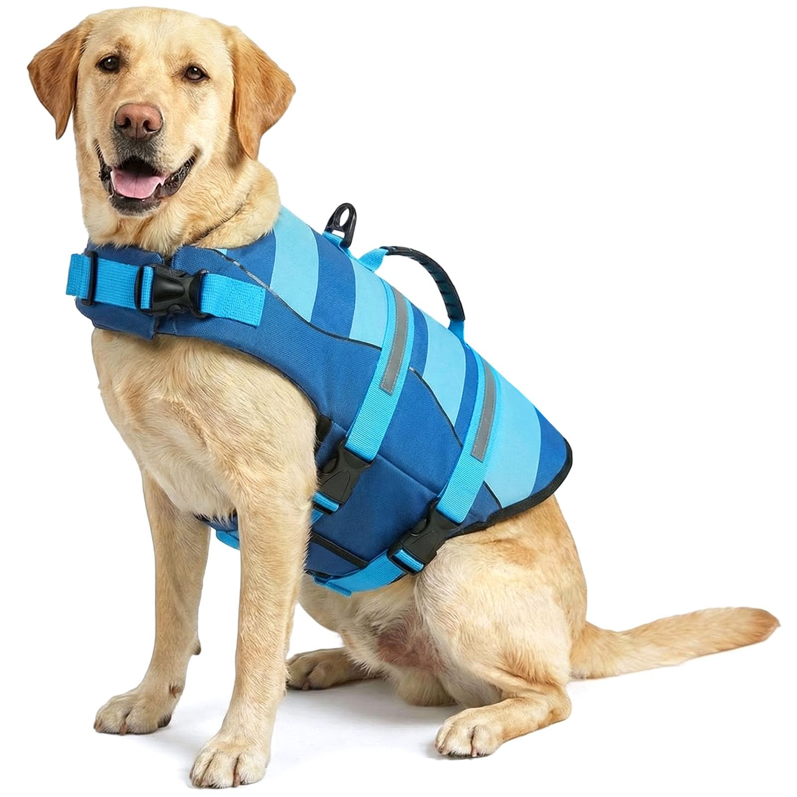 ASENKU Giubbotto Salvataggio per Cane, Salvagente per Cani Taglia Grande XXL, Galleggiante per Cani ad Alta Visibilità con Maniglia per Sicurezza in Acqua, Spiaggia e Barca