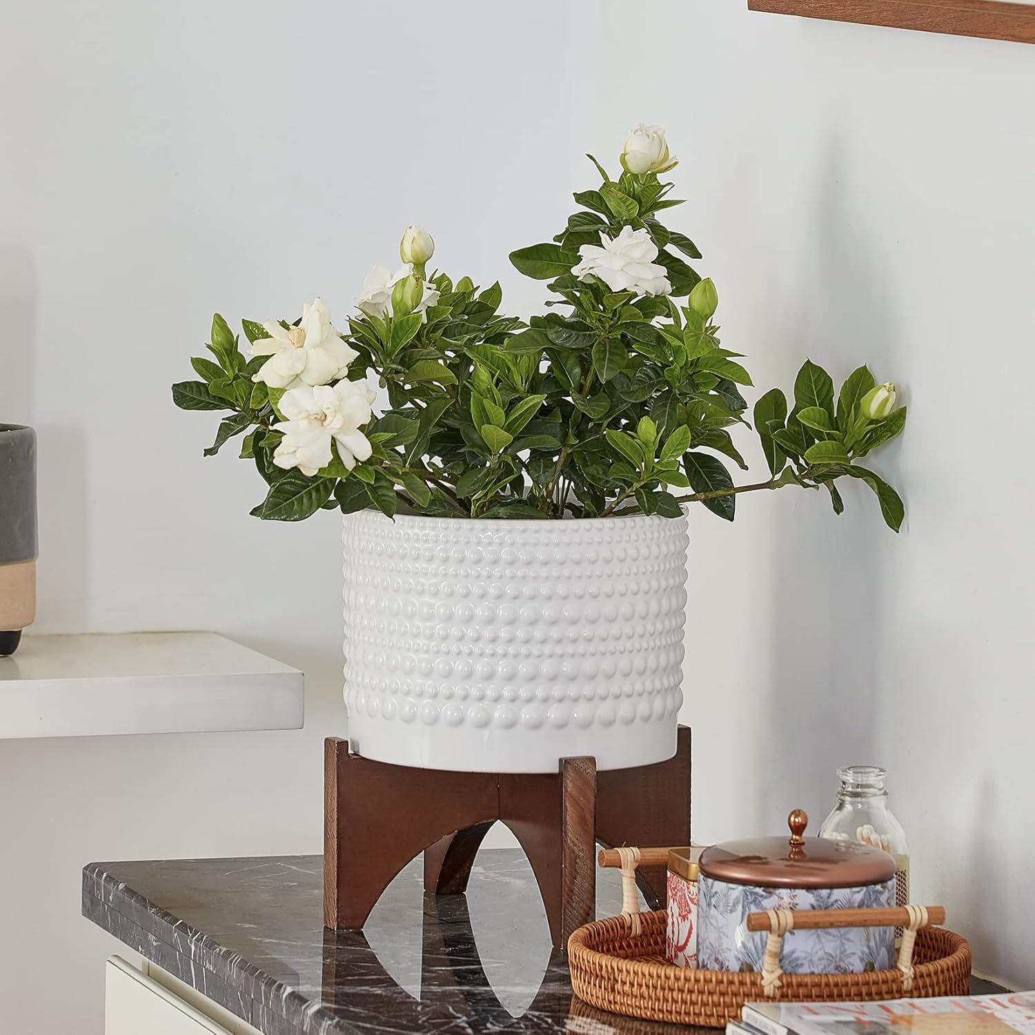 LA Jolie Muse Ceramic Planter with Wood Stand - 8 Inch White Cylinder Embossed Hobnail Patterned Flower Plant Pot Indoor