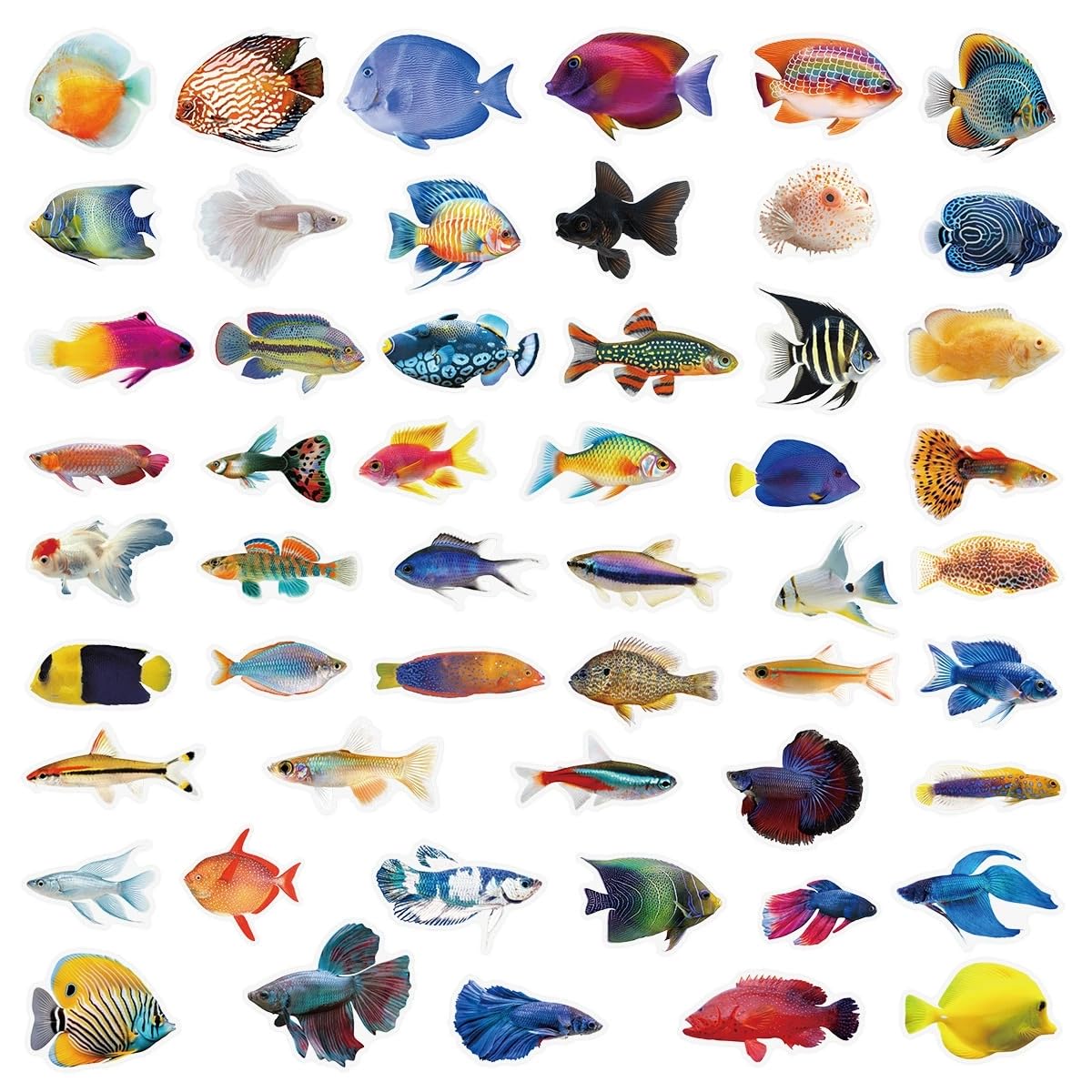 50 Pcs Fish Stickers for Kids Teens Adults Boys Girls Gift,Fish Stickers Pack for Laptop,Skateboard,Luggage,Car,Bike,Cup,Computer,Water Bottle Decor,Transparent Vinyl Waterproof Decals - Image 3