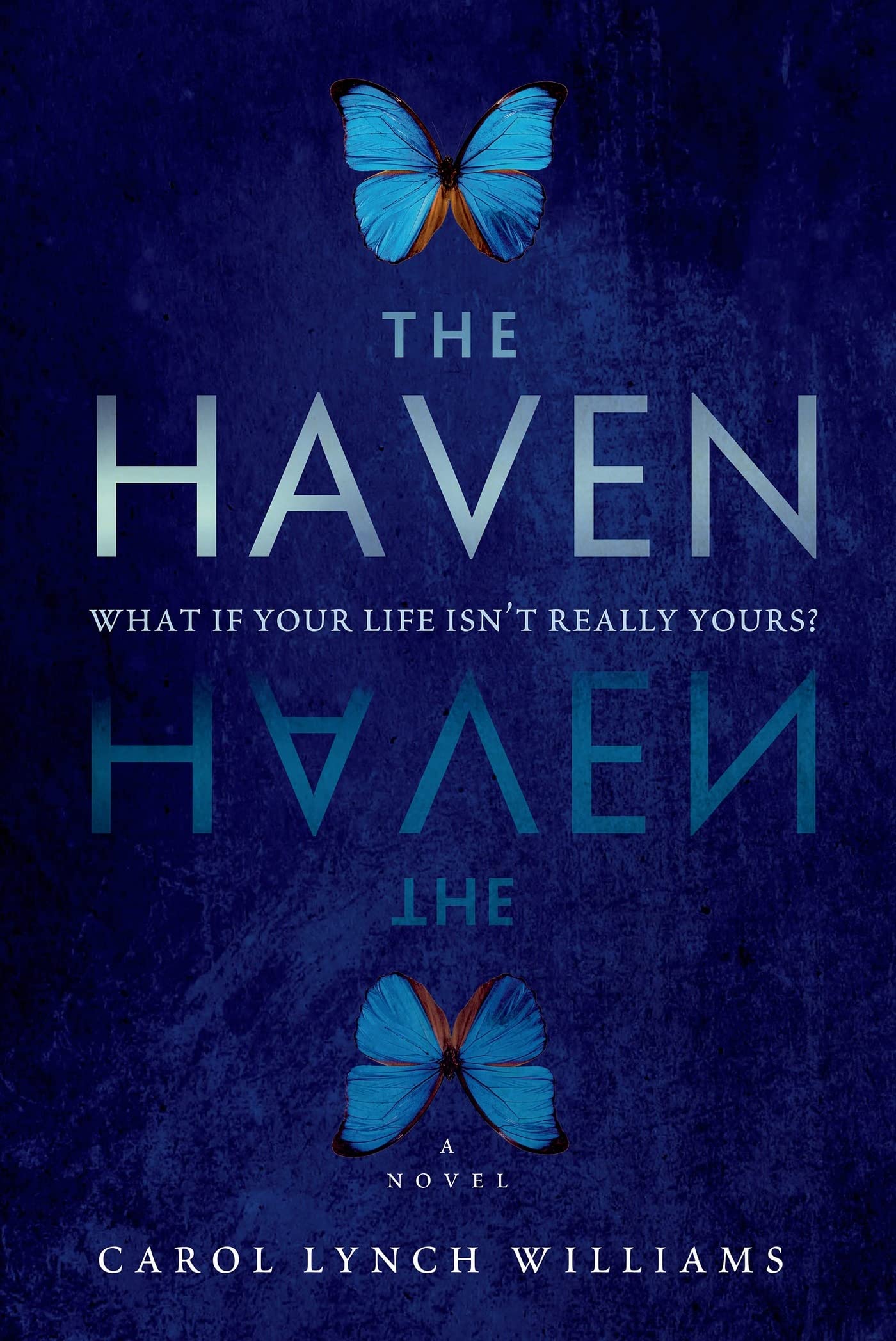 The Haven: A Novel