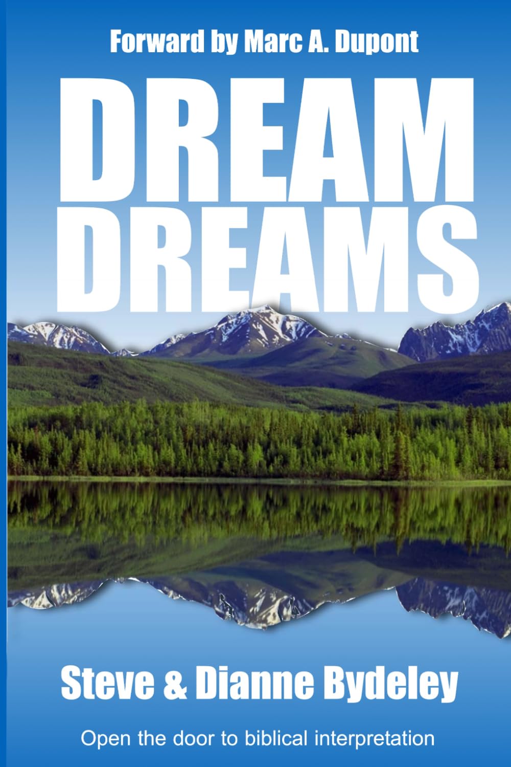 Dream Dreams: Open the door to the biblical interpretation of dreams and visions
