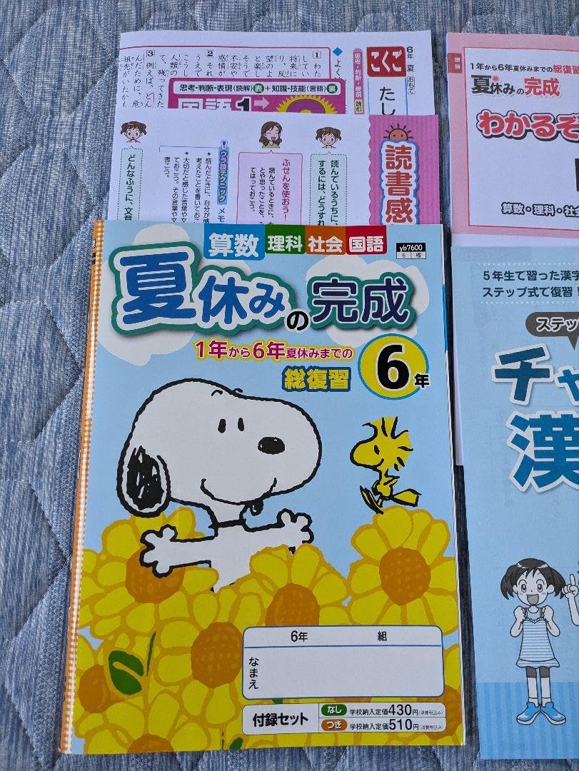 Amazon.co.jp: 夏休みの完成 6年 教育同人社 付録つき : 文房具