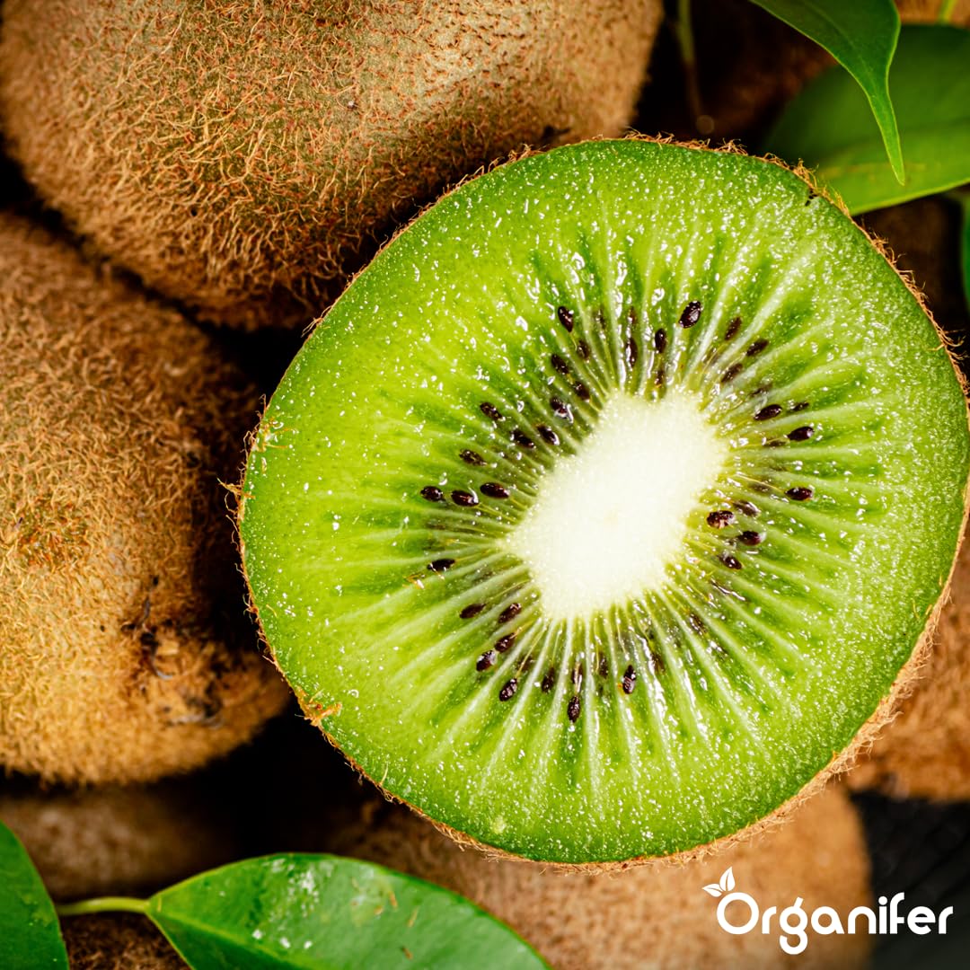 Fertilizante Líquido Orgánico 2x1L Para Kiwi – Favorece Hojas Lujosas Y Frutas Saludables – Organifer