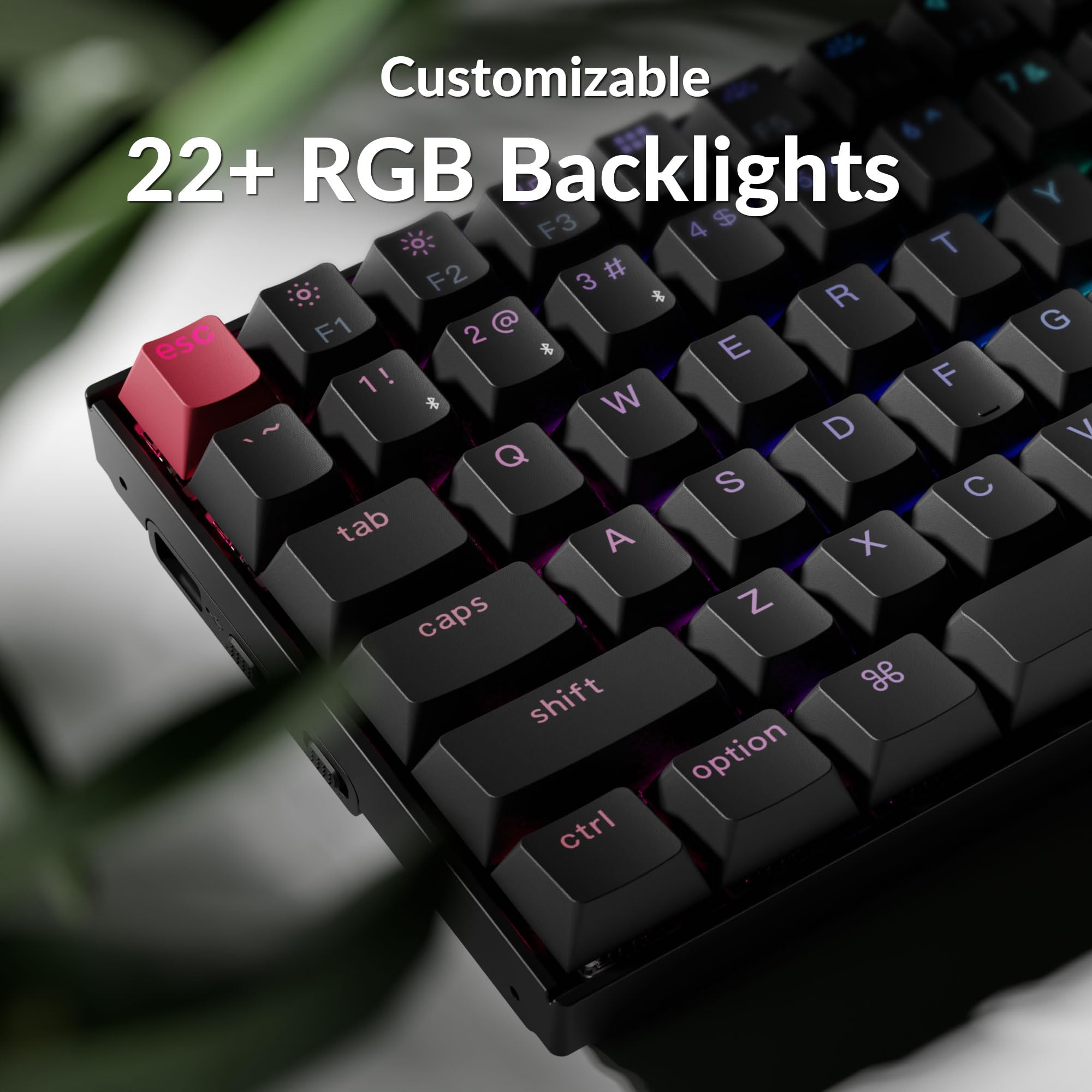 Amazon.com: Keychron K2 75% Layout QMK Wireless and Wired Options