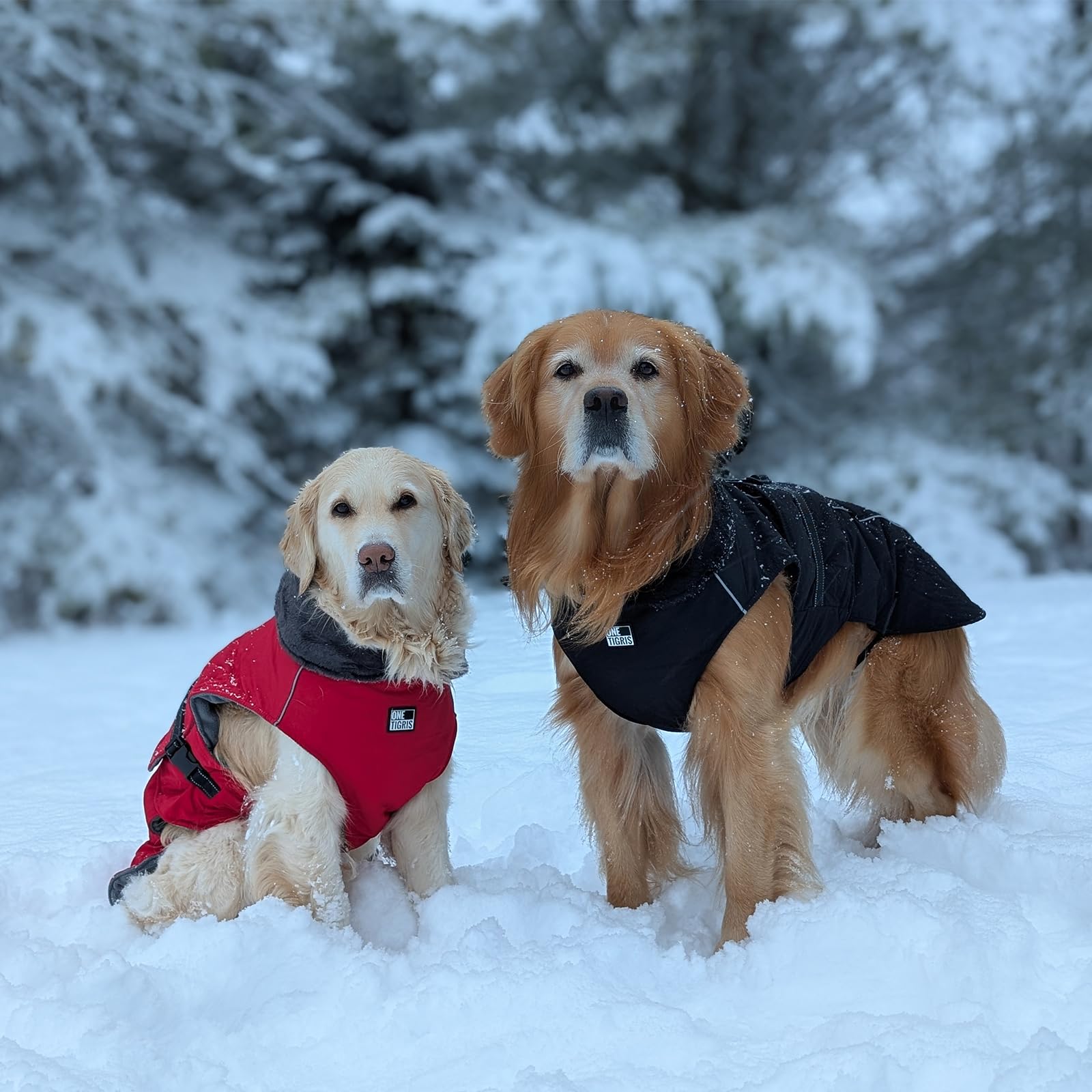 OneTigris Hundemantel, STORMWALL Wasserdicht Hundejacke mit Verstellbarer Rückenlänge Fleecefutter Reflektierend und Fellkragen für Wanderungen Outdoor für Mittelere & Große Hunde Rot XL