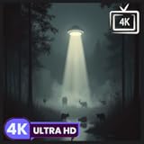 不気味な雰囲気を漂わせる謎のUFO目撃情報