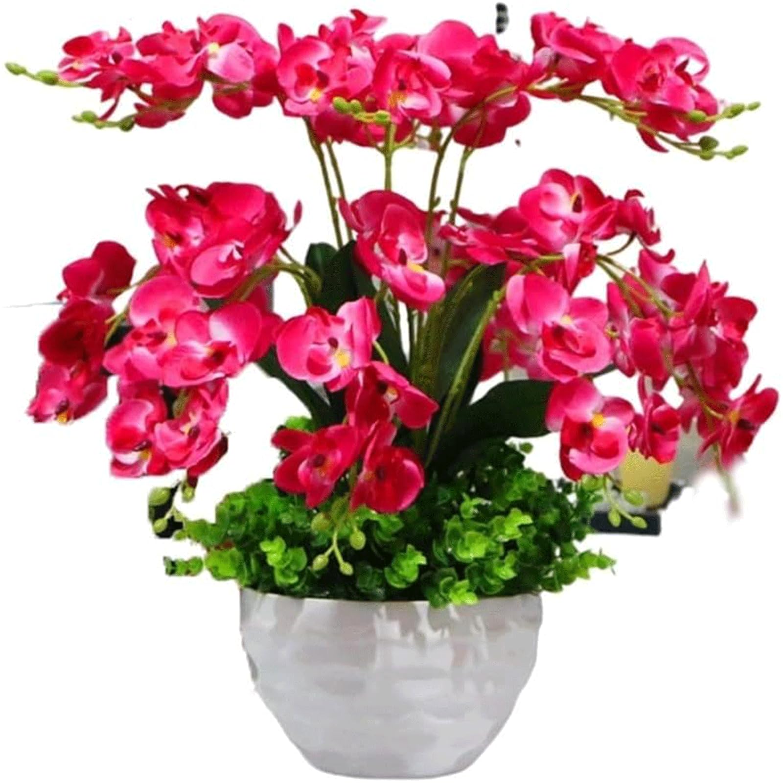 XDLEDMKIZ Artificial Flowers Floral Arrangement Fake Flowers Decorative Fake Flowers Real Touch Orchid with Vase Wedding Decor