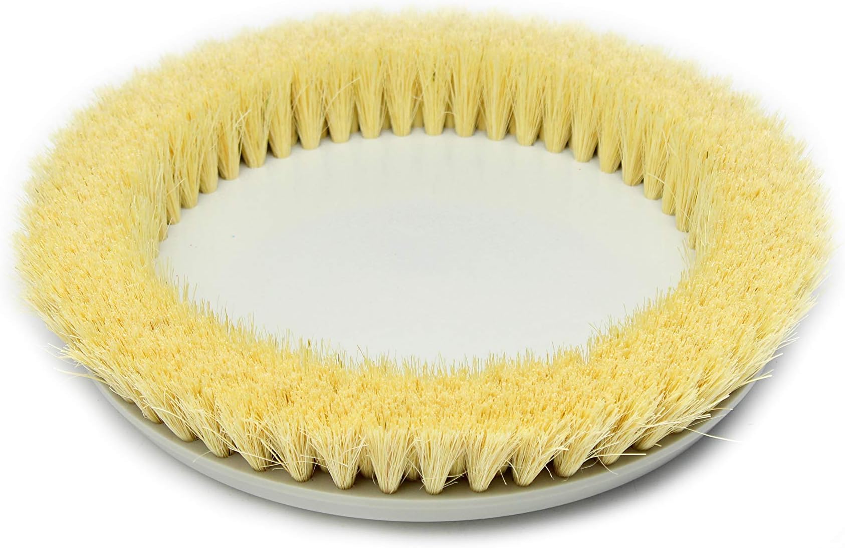 ProluxCore 13" Light-Duty Brush, Compatible with Units from 2021 and Older