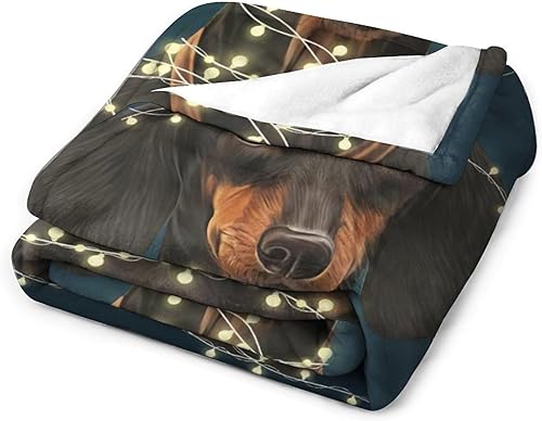 Miniatura 4 de Manta de perro salchicha para niñas y niños, regalos de perro salchicha manta para sofá, cama, forro polar de franela suave y cálida para niños y