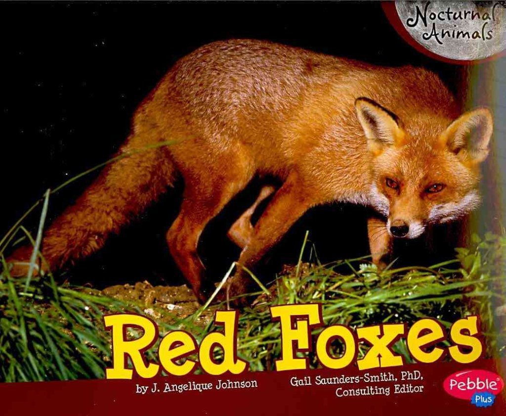 Red Foxes (Pebble Plus: Nocturnal Animals) Paperback – January 2, 2011