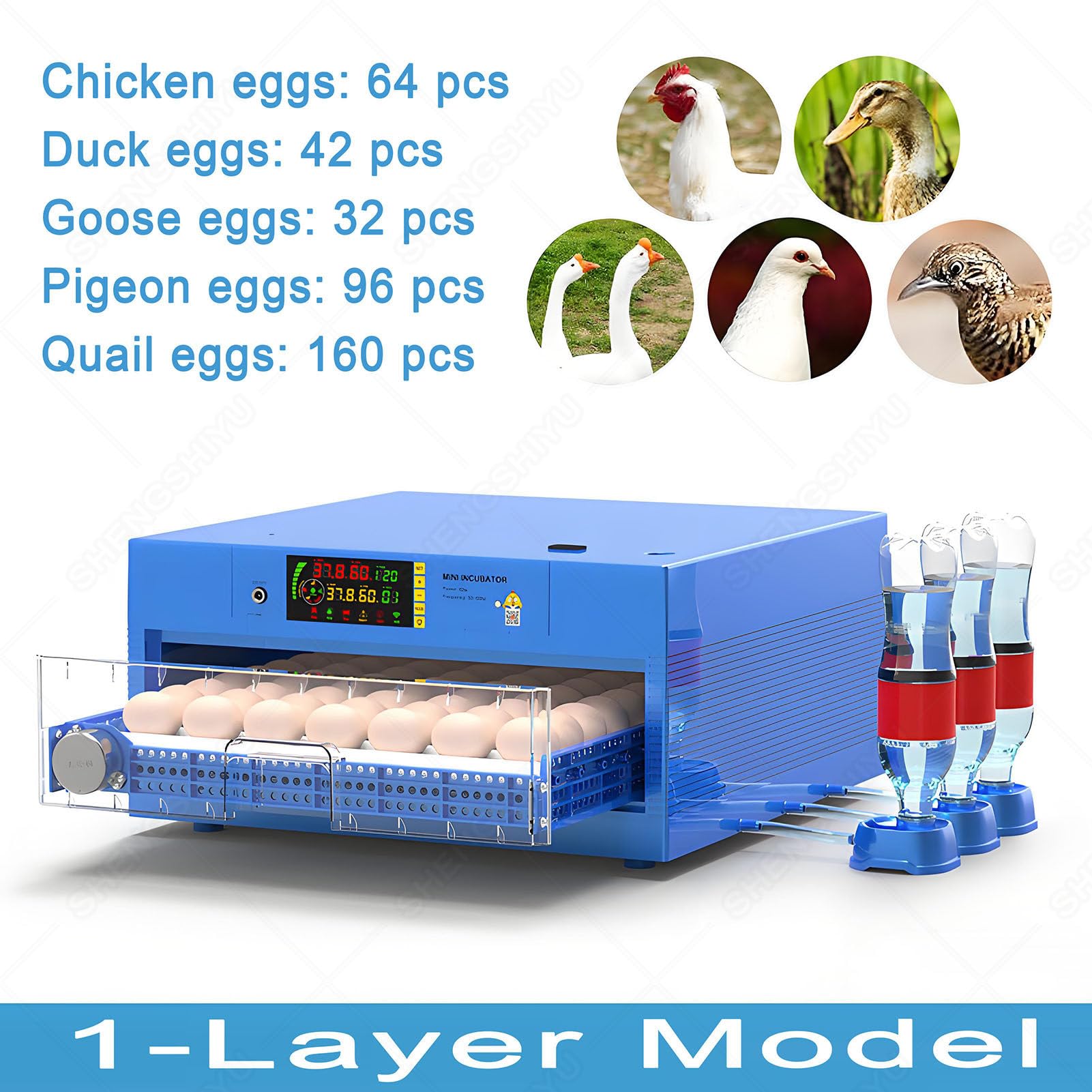Incubadora automática de huevos para incubar huevos, incubadora digital de aves de corral con bandeja transparente extraíble y rodillo ajustable, giro automático de huevos, 2 capas