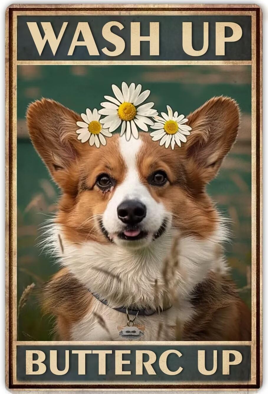 Anceky Art Kits for Adults Dog Wash Up Buttercup Funny Bathroom Decor Painting Kits Corgi for Beginners Crafts Home Decor Dog Lovers Corgi Decor 8X12 Inch