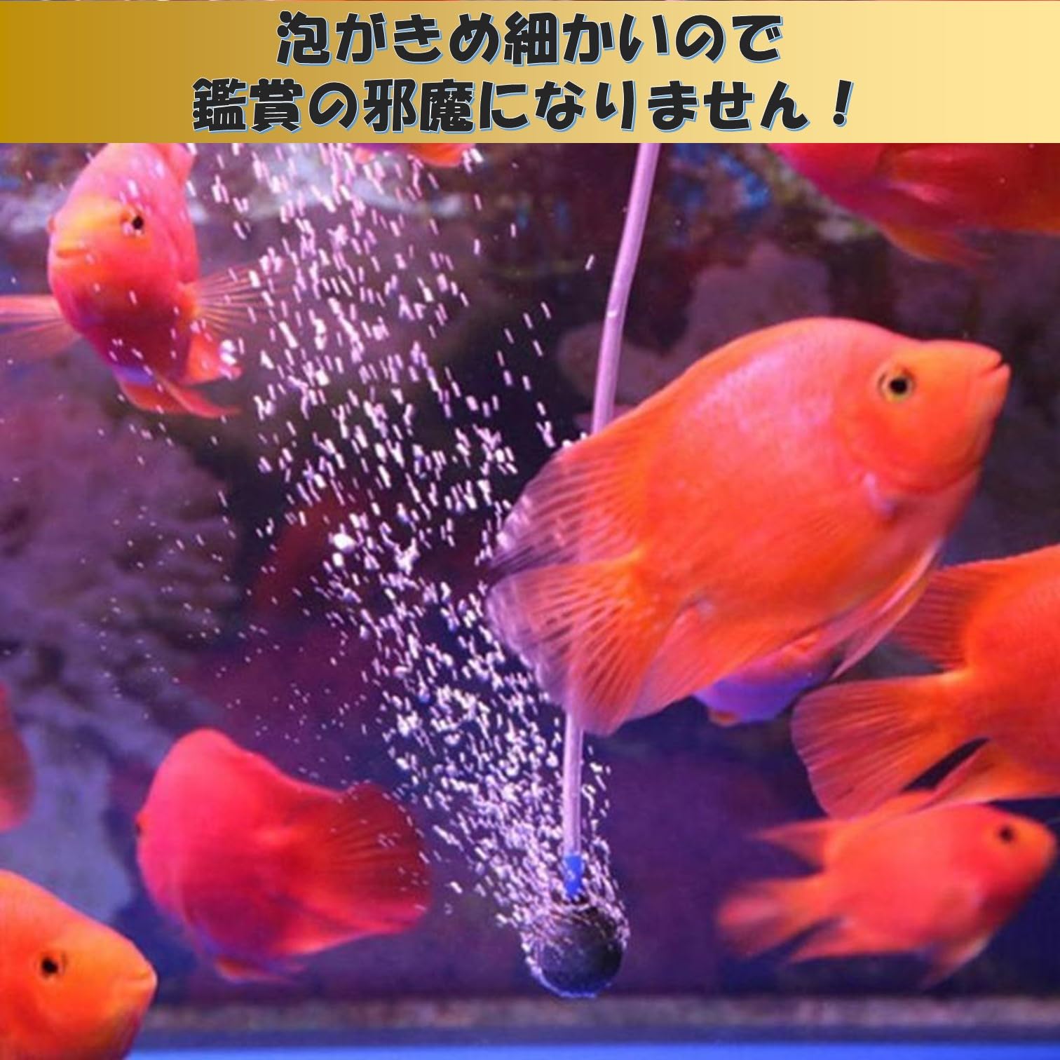 Amazon | EXDUCT エアーストーン 直径4cm 20個 いぶきエアストーン 