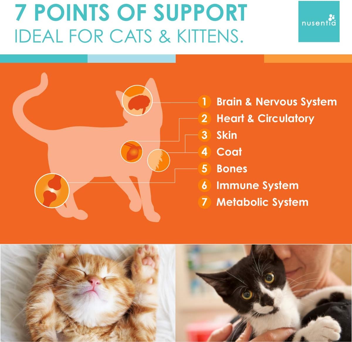 Cat Vitamins - Spectrin 16 OZ - Liquid Vitamin & Antioxidant Supplement for Cats - 96 doses : Pet Supplies
