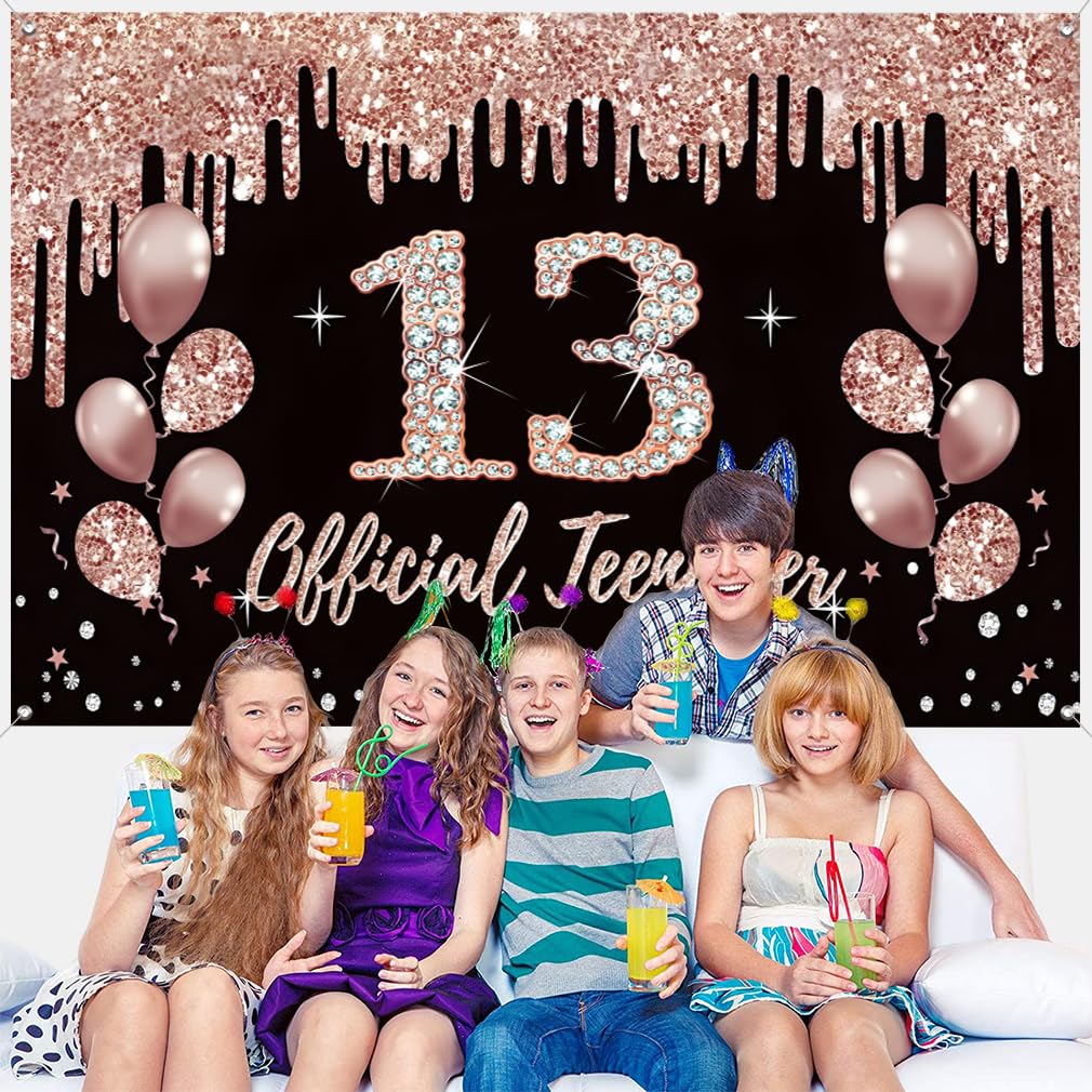 Décoration Anniversaire Pour Fille - Bannière De Fond - Panneau En Tissu - 13 Bannières - Décoration Murale / Table - Paillettes Roses