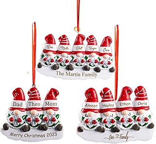 Personalized Family Christmas Ornament,Custom Resin Christmas Ornament Christmas Tree Gnomes Best Ornament 2023 Family Christmas Ornament Gift For Your Family Or Best Friend