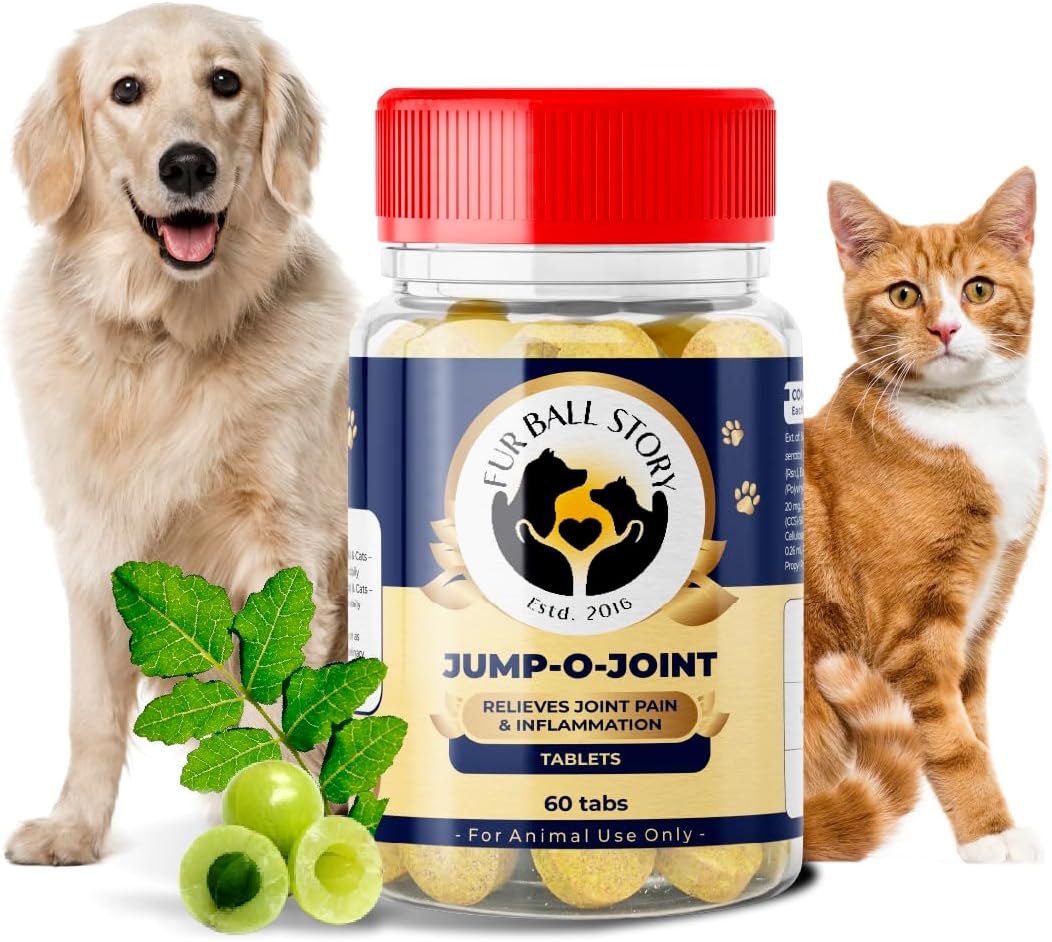 Fur Ball Story Jump-O-Joint Pain Relief Supplements for Dogs & Cats | Pet Medicines for Dogs, Anti-Inflammation, Vegan, Ayurvedic, Vet-Recommended - 60 Tablets