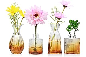 Mapoxy: Glass Bud Vases Enhance Your Décor