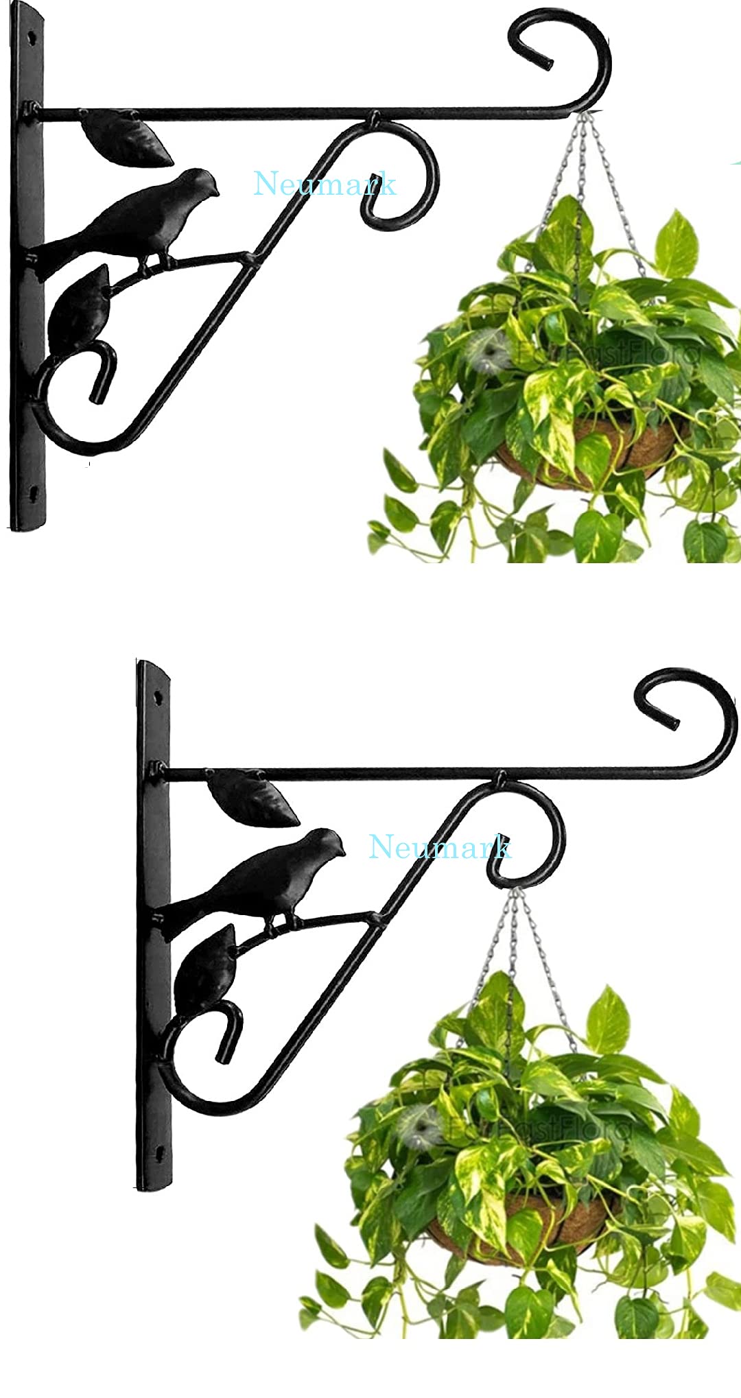 Neumark Wall Brackets Hook for Hanging Plants Wrought Iron Flower Pot Hook Flower Stand for Bird Feeders Lantern Lawn Light Flower Pots Size 25cmX25cm Black Without Pot Pack of 2 (Black1, Standard) (B07YXBVPNC) Amazon Price History, Amazon Price Tracker