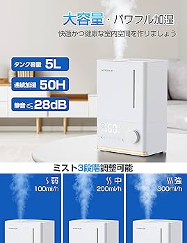 Amazon.co.jp: 【電解加湿 5L大容量 乾燥対策】VAGKRI 加湿器 超