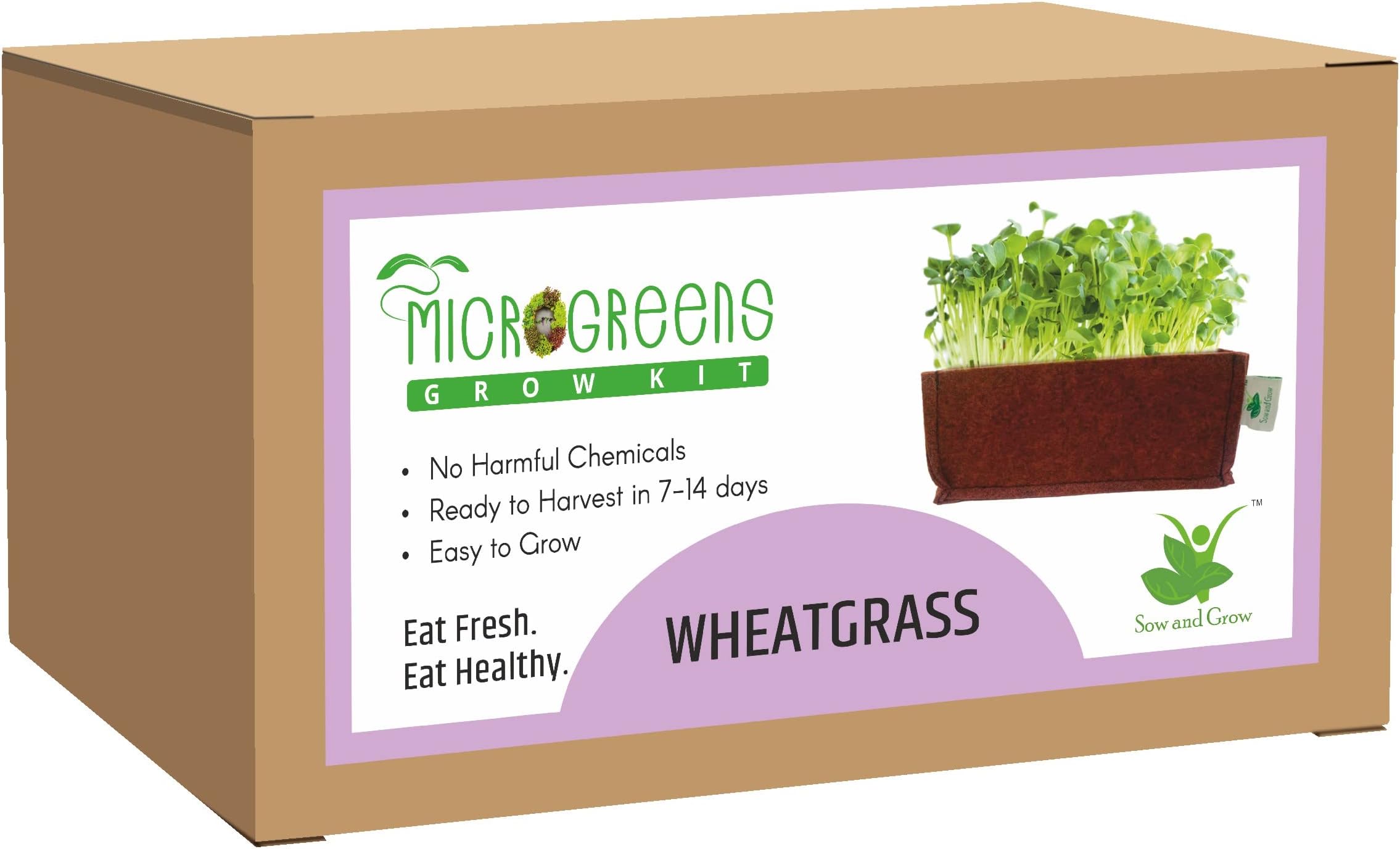 Sow and Grow Microgreens Grow Kit: Wheatgrass 100 grams with a Reusable 500 GSM Grow Bag || Easy to Use Kit for Beginner Gardeners || Gardening Set to Grow at Home
