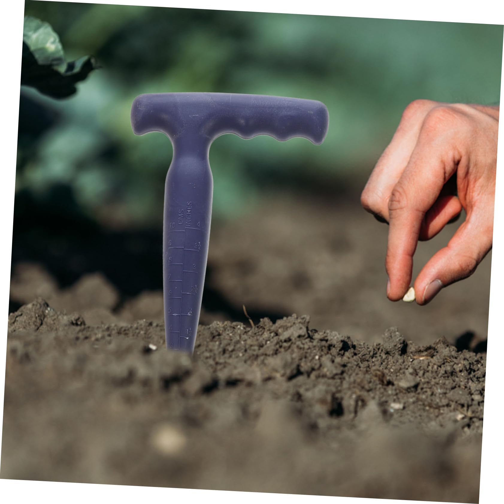 Piantabulbi da Giardino Set 3 Pezzi in Acciaio Inox | Semina e Trapianto nel Terreno, Design Ergonomico, Abs e Legno, Uso Manuale Pratico