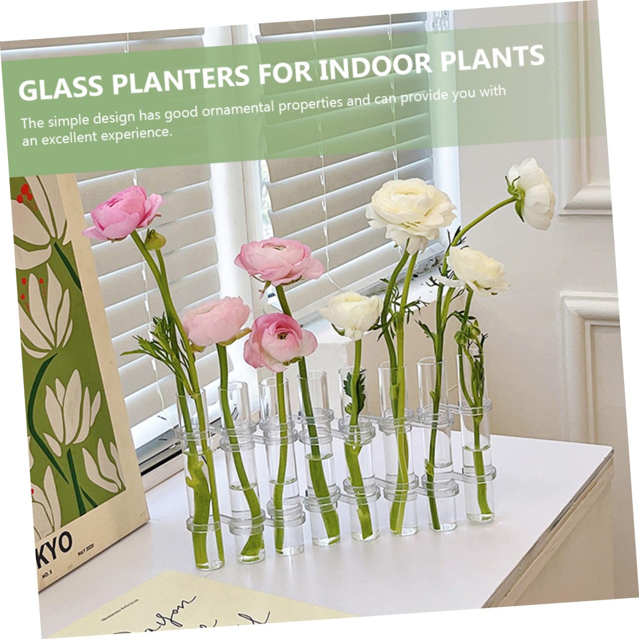 Homoyoyo Set de Vases Verre Transparent pour Hydroponie Test Tubes Propagation Large avec Brosse Pot à Plantes Intérieur pour Décoration Maison et Bureau