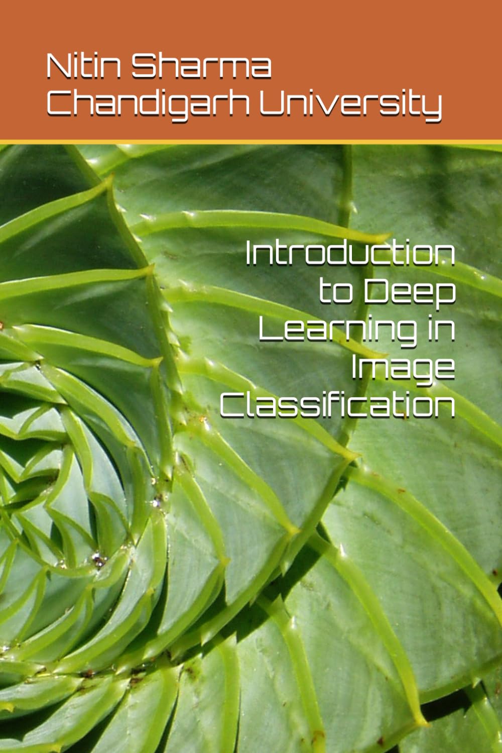 Introduction to Deep Learning in Image Classification