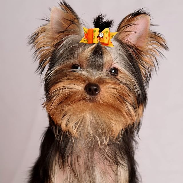 Foto 7 de 7 de BIPY - Lote de 20 lazos para el pelo de Halloween para mascotas con bandas de goma para perros pequeños…