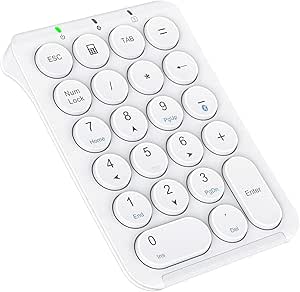 iClever KP08 Wireless Numeric Keypad, 22 Keys Bluetooth Number Pad Portable Number Keyboard, USB-C Rechargeable, Round Key, Financial Accounting, Compatible with Laptop PC Desktop, Mac, Surface,Tablet