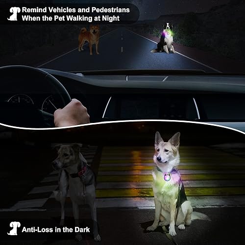 Miniatura 7 de Luz para collar de perro, 4 modos de luces de perro para caminar por la noche, luz de perro que cambia de color RGB, luces recargables para collar