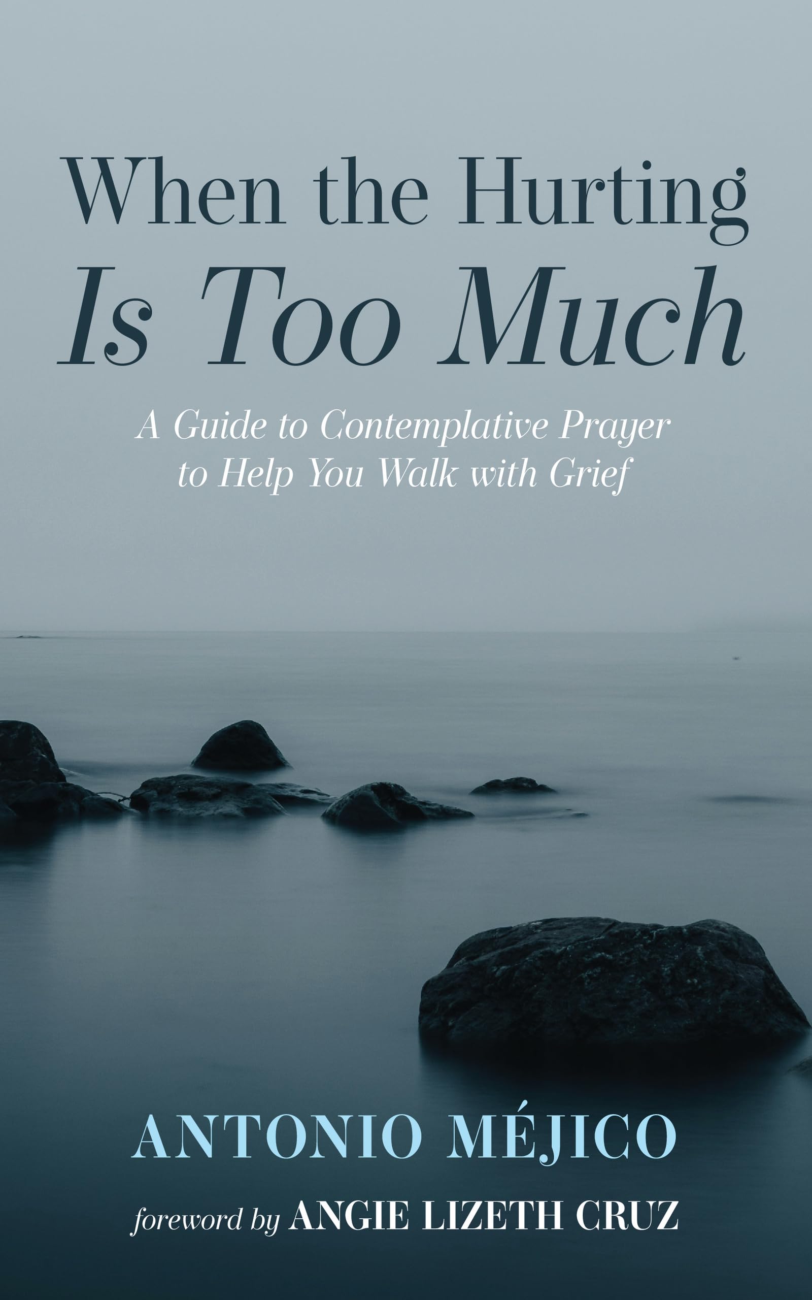 When the Hurting Is Too Much: A Guide to Contemplative Prayer to Help You Walk with Grief