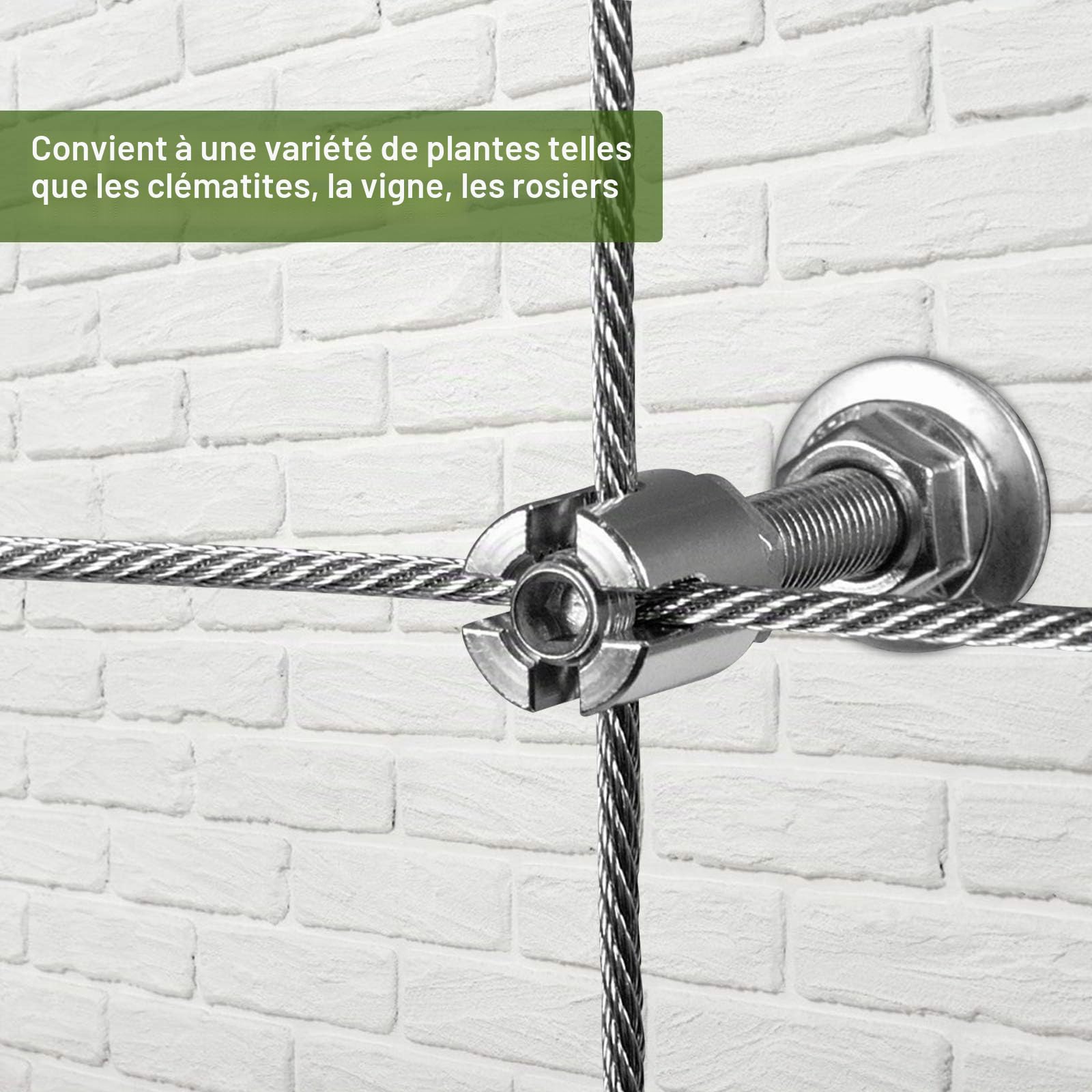 Support pour Plantes grimpantes,24M|3MM de Câble en Acier Inoxydable Support pour Plantes