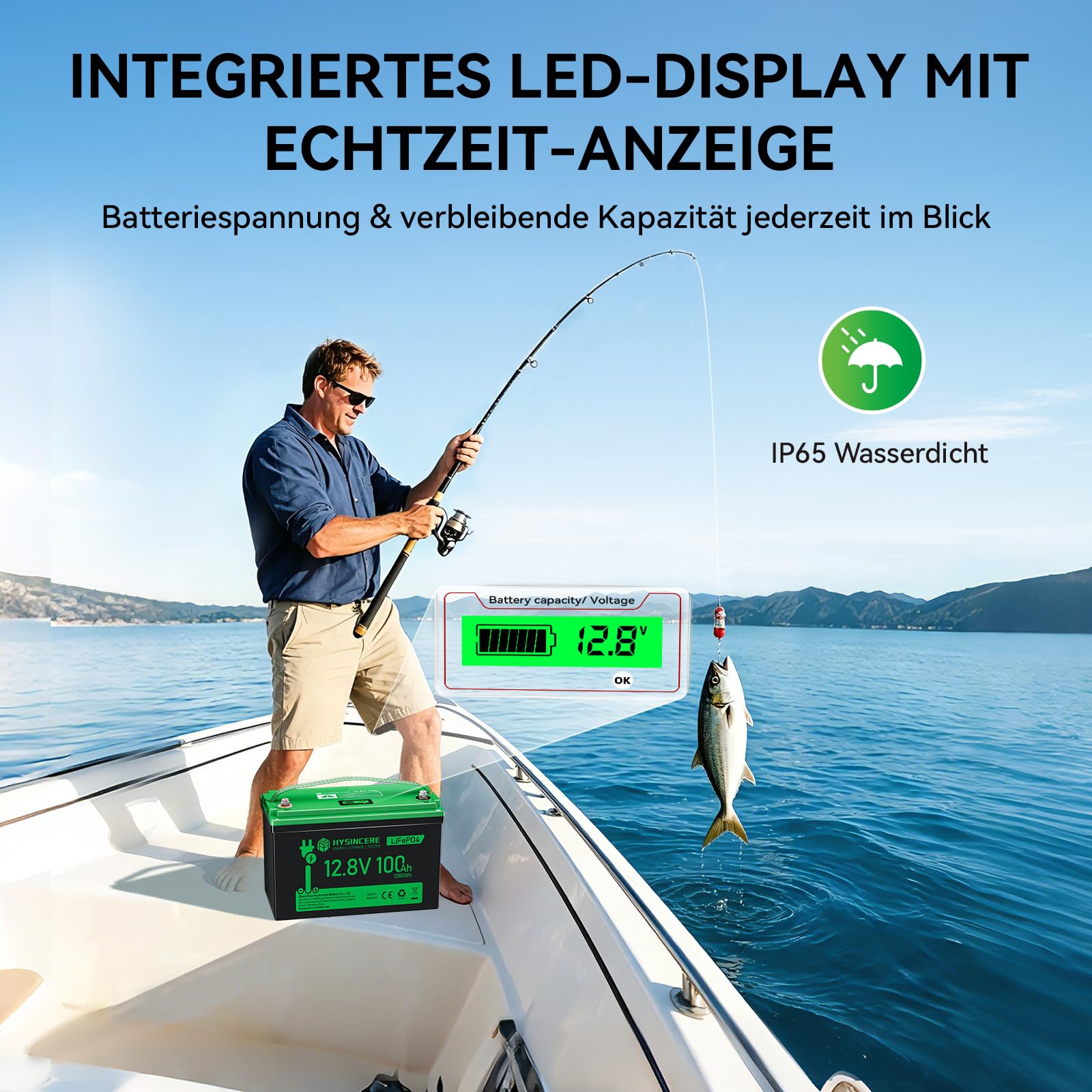 12V 100Ah LiFePO4 Lithium Batterie mit LED, Max.15000 Zyklen & 100A Intelligente BMS, 12 Volt Deep Cycle Akku 1280Wh Wiederaufladbare für Wohnmobil, Camping, Solar Home Systeme, Boote