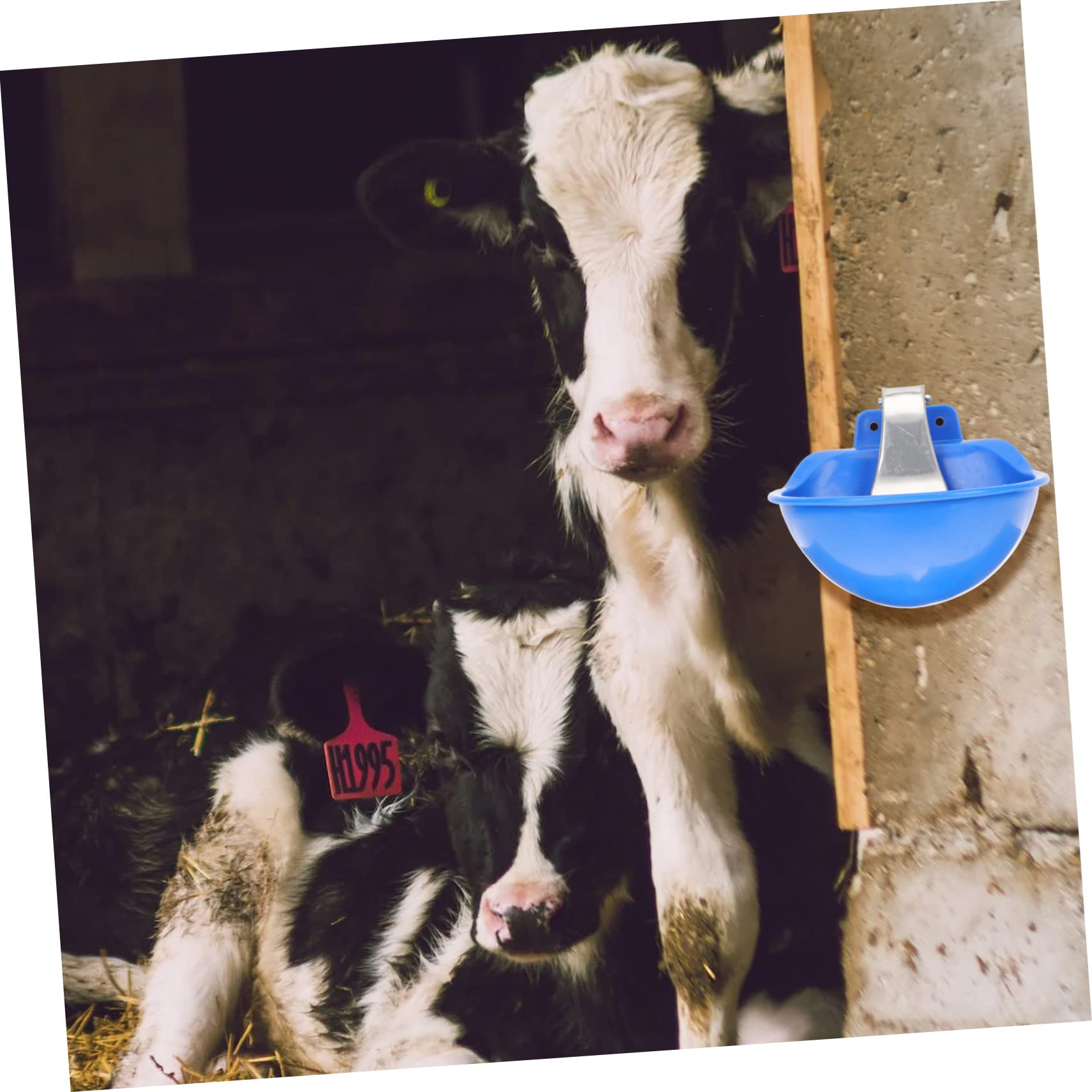 Bebedero Automático para Vacas y Ovejas, Acero Inoxidable, Azul
