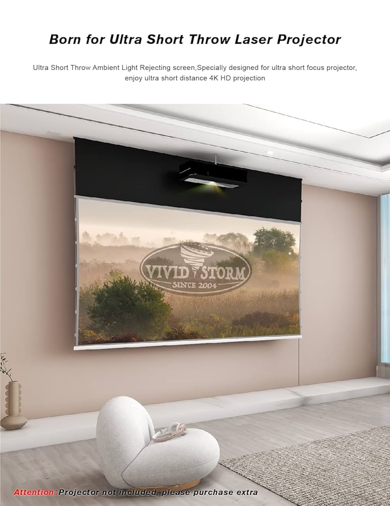 VIVID STORM SINCE 2004 100インチ Amazon.co.jp: プロジェクタースクリーン 100インチ VIVIDSTORM