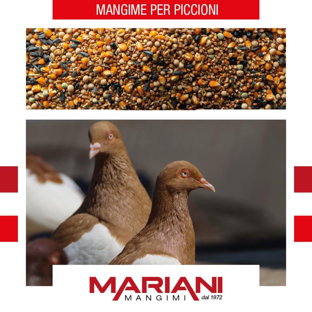 Mangime misto Piccioni e Colombi NO OGM | Granaglie per piccioni | Mix cereali per Colombi | Non contiene OGM - Sacco da 20 kg - Mangimi Mariani
