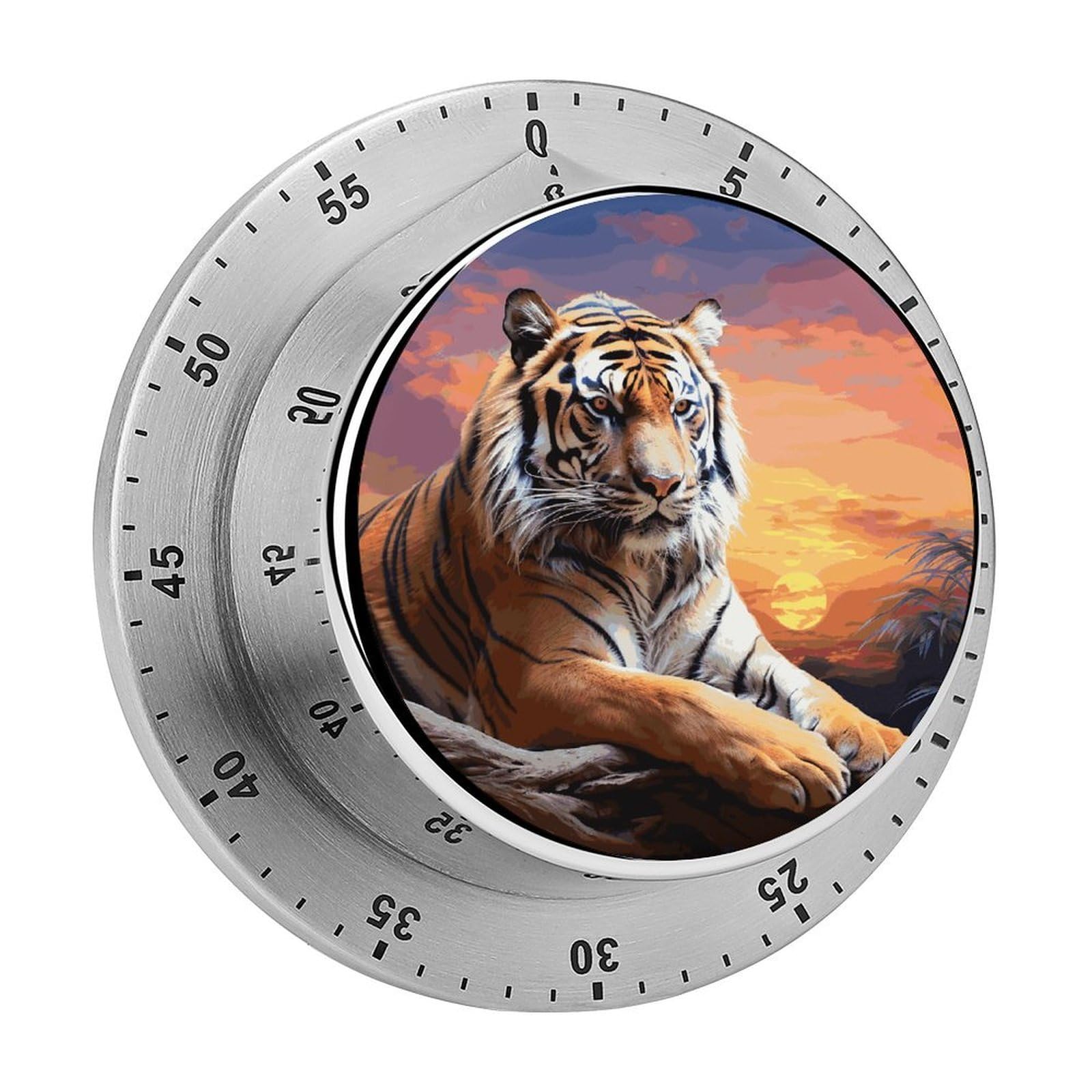 Tiger Colorful Sunset Visual Timer with Loud Alarm 60-Minute Kitchen Timers Exquisite Stainless Steel Body - Mechanical Desk Timer Countdown Clock for Cooking Chef Clock