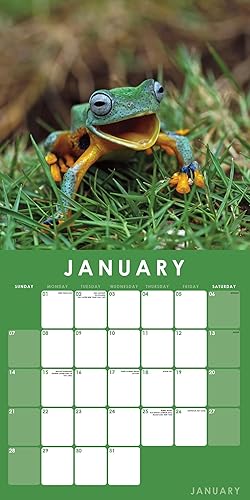 Vista 24 de Calendario de pared colgante cuadrado de ángeles 2024, sin plástico, planificador de 12 x 12 pulgadas, celestial, espiritual, celestial, celestial