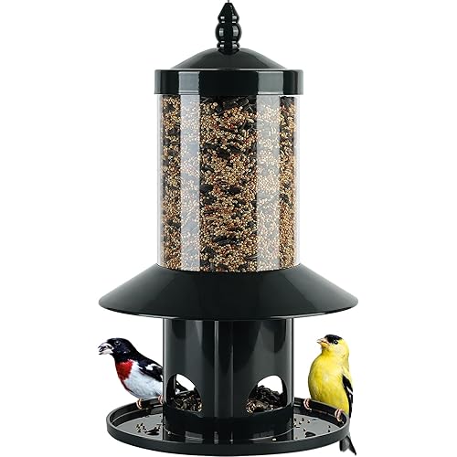Squirrel Proof Bird Feeder - 360° Feeding Perch Tray for