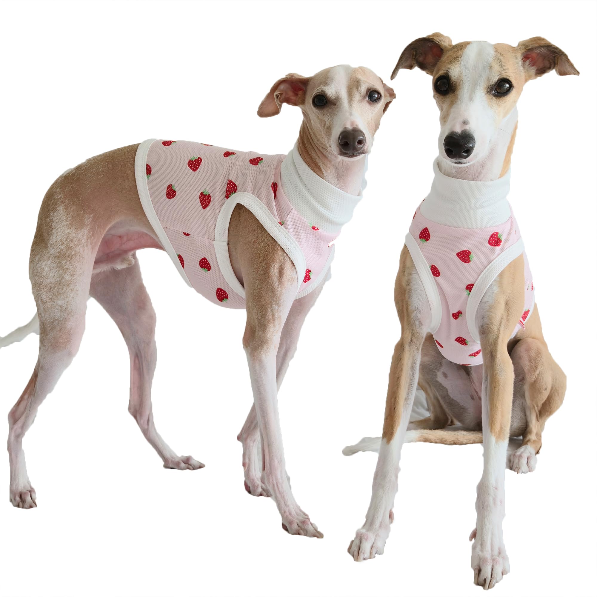 D Doggy Star Italian Greyhound Strawberry Crop T Shirt, 3XL, Pink