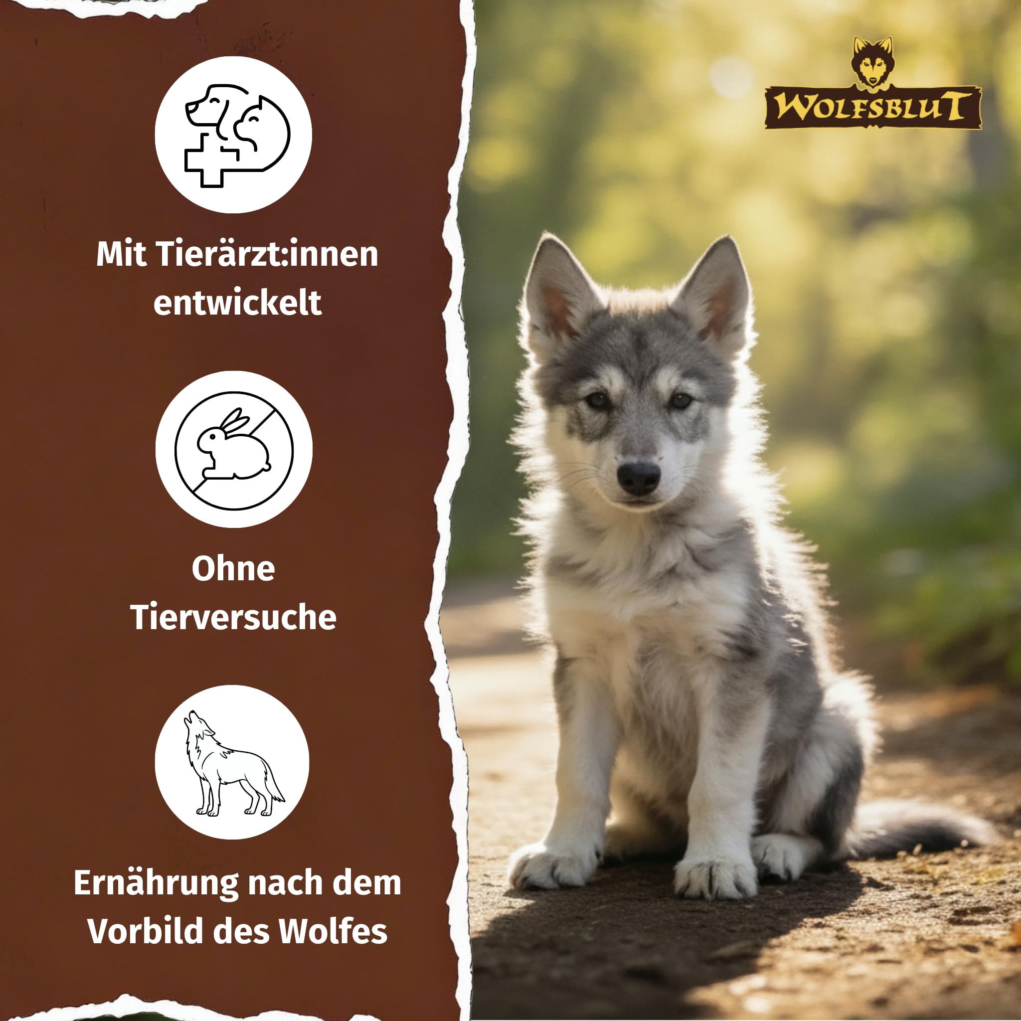 WOLFSBLUT – Wide Plain Puppy | Trockenfutter mit natürlichen Zutaten und wertvollen Superfoods für heranwachsende Hunde. Getreidefreies Alleinfutter ohne Zusatzstoffe im Beutel | 12,5kg Pferd