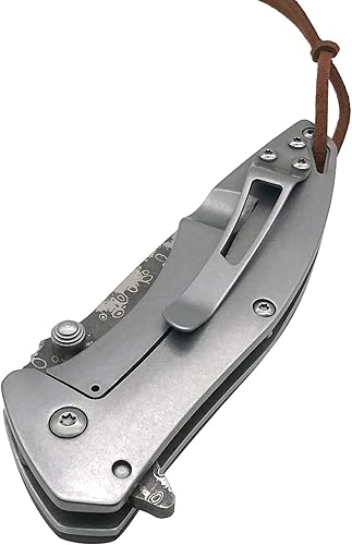 Miniatura 8 de ALBATROSS Navaja de bolsillo abulón conchas marinas 7.25 "cuchillo de acero de Damasco moderno Marco de bloqueo plegable cuchillo caja de regalo -