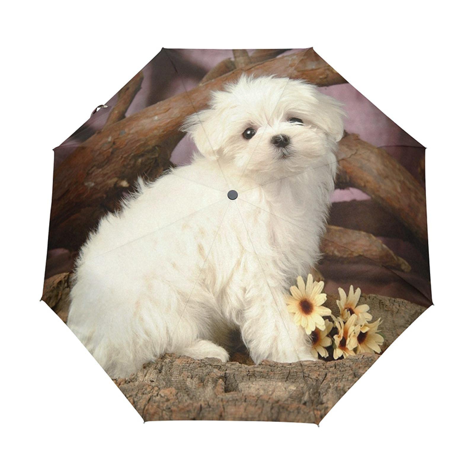 JZLLSun umbrella UV protection folding umbrella, sunshade and rainproof dual-use, compact and portable