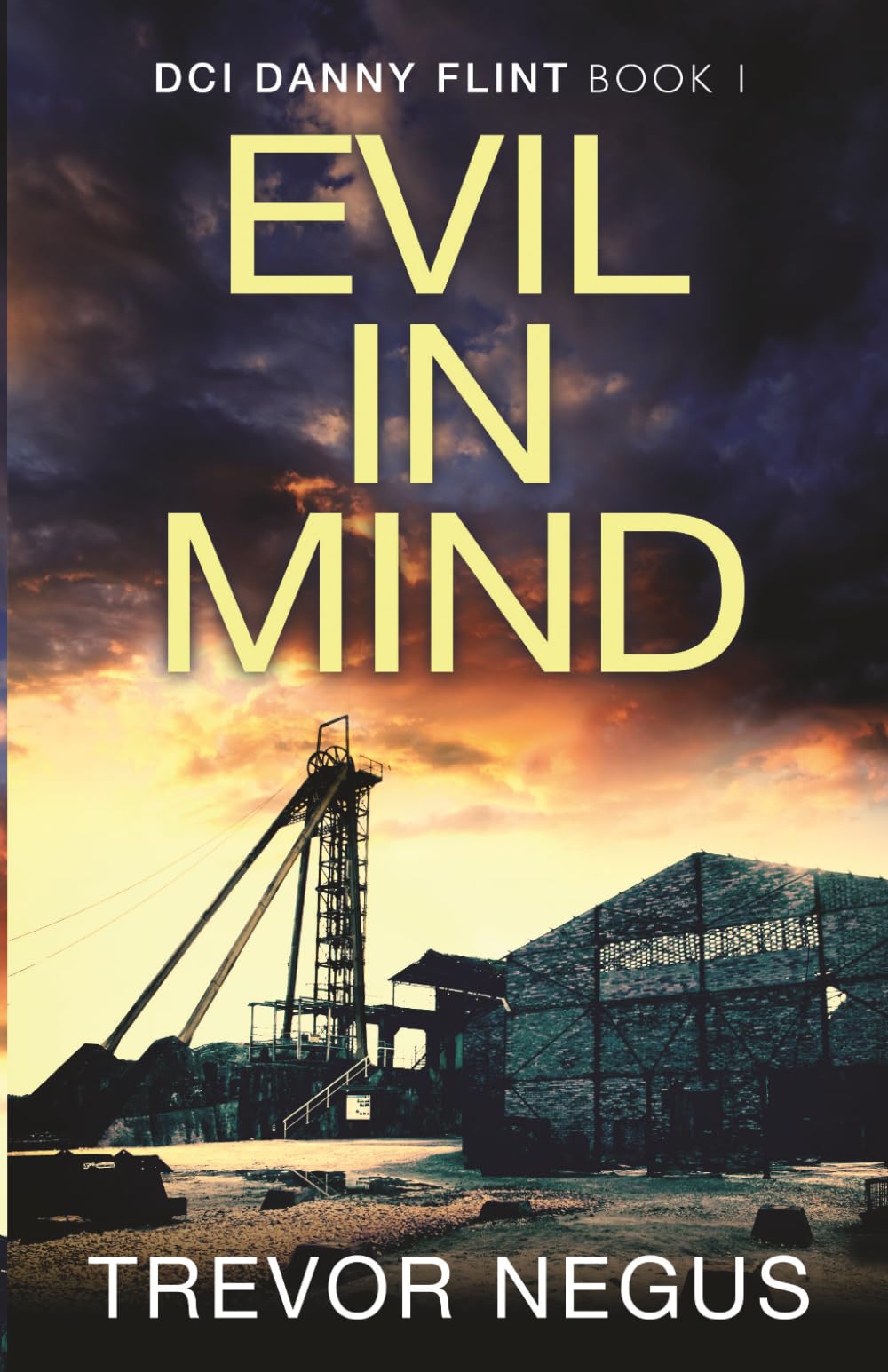 Evil in Mind: A gripping serial killer thriller (DCI Danny Flint)