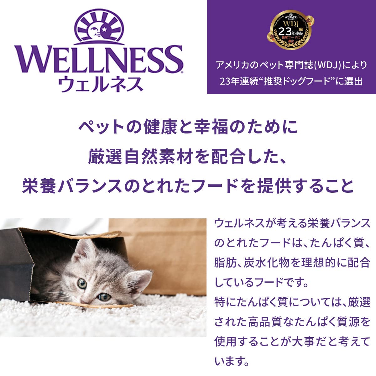 Wellness CORE 高タンパク質キャットフード 2袋 Amazon | ウェルネス コア キャットフード 高たんぱく質・穀物不