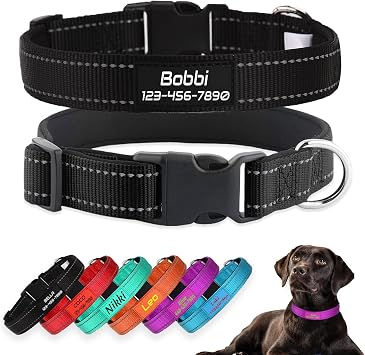 Personalized Reflective Nylon Dog Collar with Neoprene Padding, Black | Custom engraved name & phone; 3 font choices, 5 sizes, reflective stitching, adjustable fit for male, female dogs & puppies